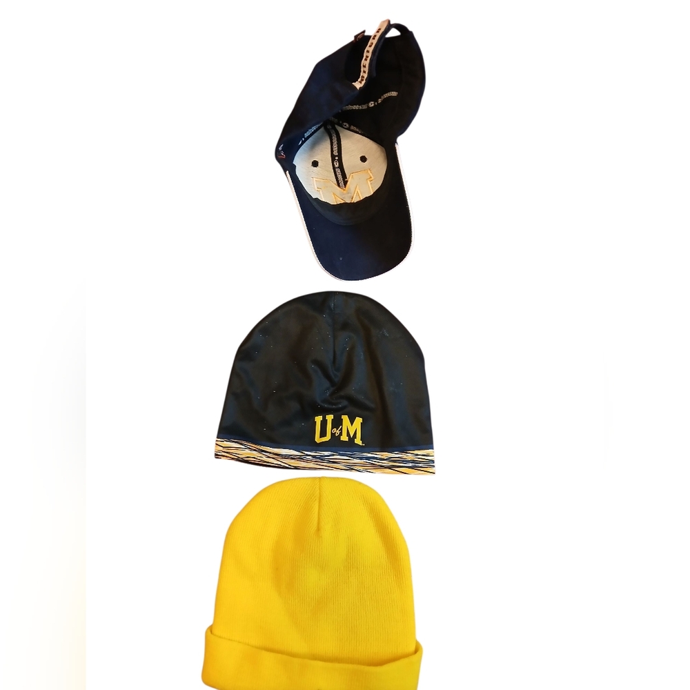 Hoodie/polo/hats combo - Picture 9 of 10